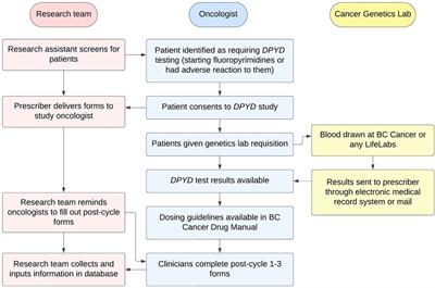 Implementation of pharmacogenetic testing in oncology: DPYD-guided dosing to prevent fluoropyrimidine toxicity in British Columbia